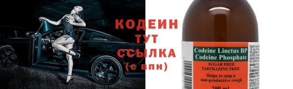 гашик Белокуриха