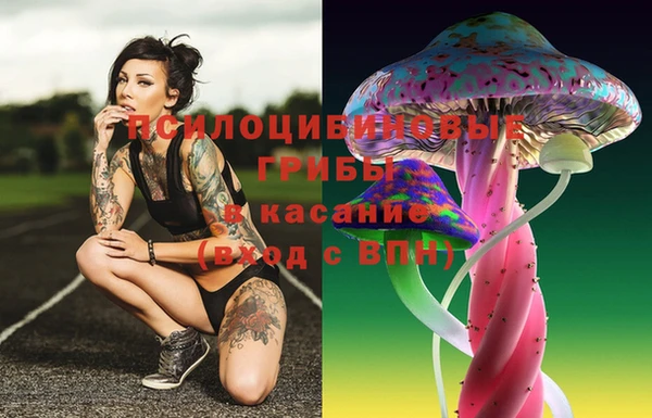 ПСИЛОЦИБИНОВЫЕ ГРИБЫ Беломорск