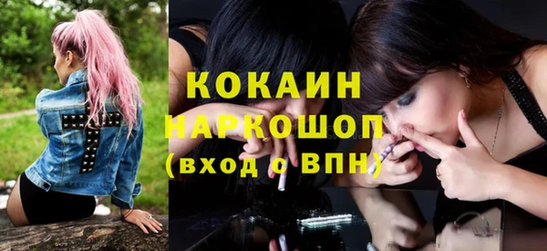 гашик Белокуриха