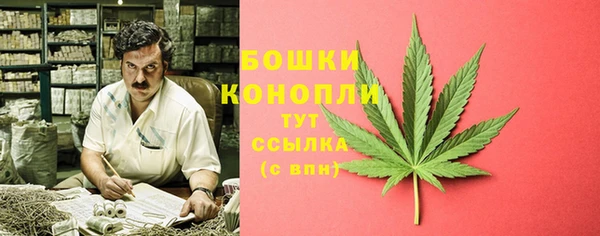 гашик Белокуриха