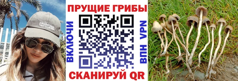 Псилоцибиновые грибы мухоморы Ворсма