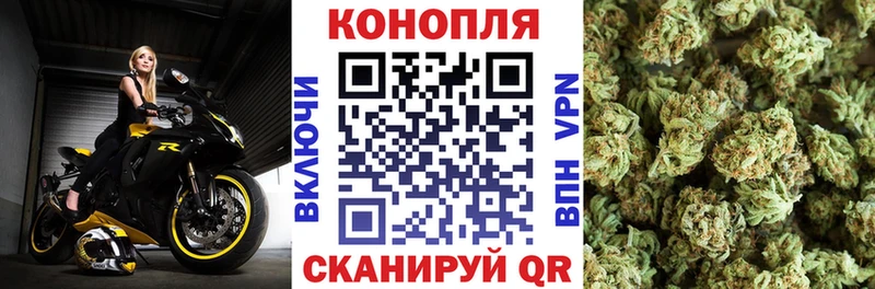 Бошки марихуана ГИДРОПОН Ворсма